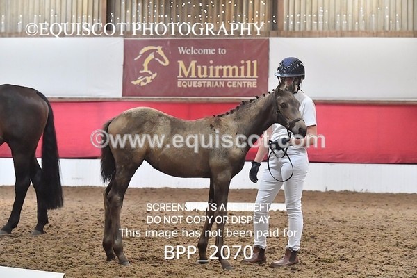 BPP_2070 - AFTERNOON 12.30 - 3.30PM