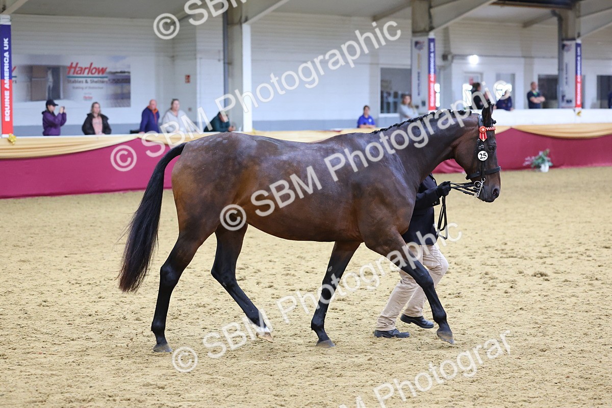 SBM_19495 - Class 901 - Supreme Final - IH Diamond