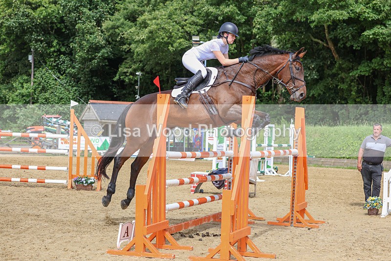 3E7A7517 - Class 9: Senior Foxhunter/1.20 open