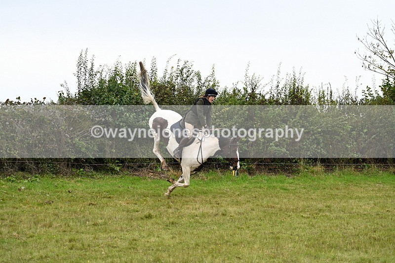 WJ7_4186 - Camera 1 Line 2