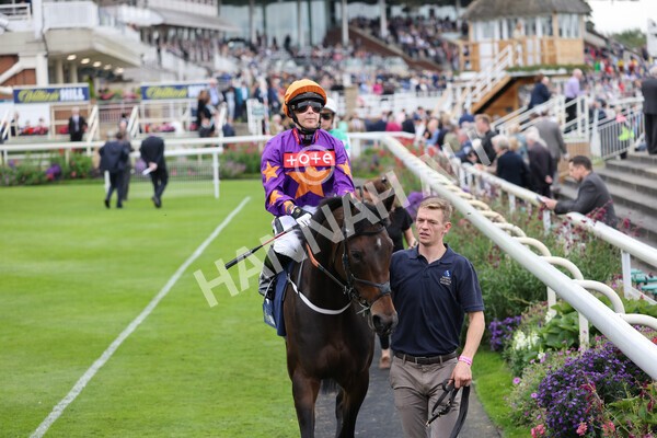 yr24092021r3-19 - Race 3 2.40pm WilliamHill.com Best Odds Guaranteed Stakes