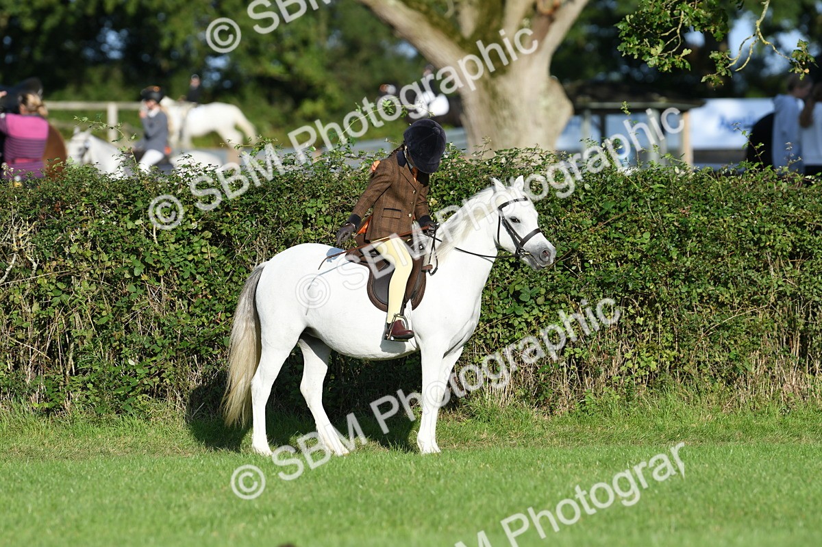 SBM_54053 - S23 - 1st Ridden Mountain & Moorland Pony