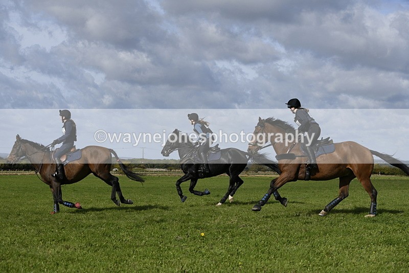 _DSC6819 - Time 11:23 to 12:05