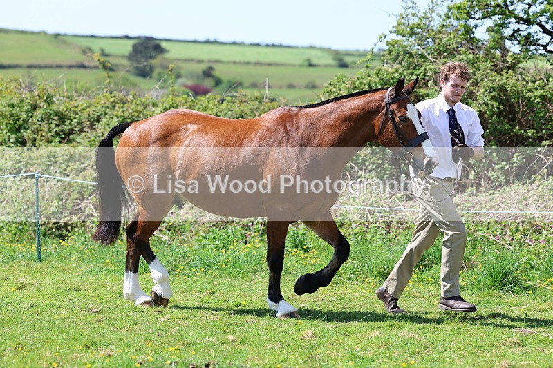 3E7A0271 - Class 19: Best Coloured in Hand