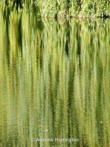 willow waterfall - Photos 2