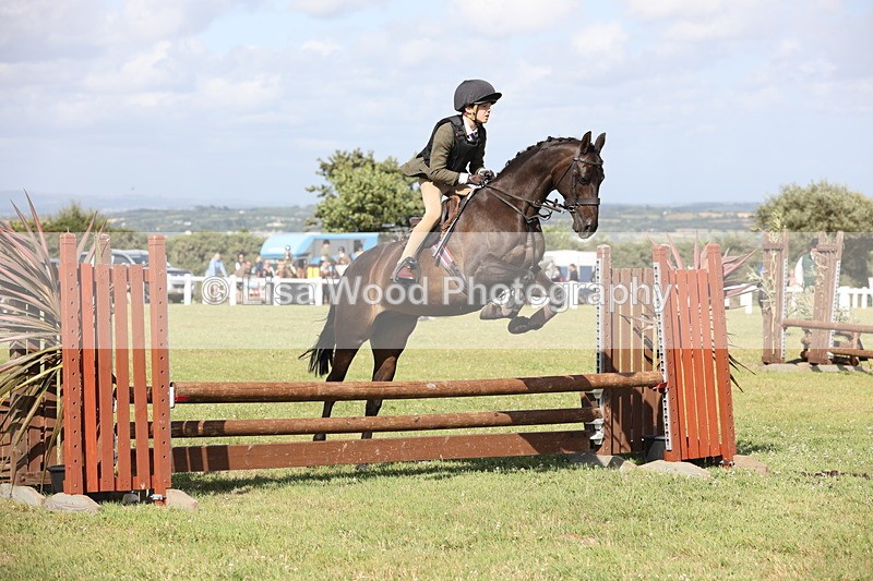 JPP_2771 - Class 20: Working Hunter 70cm