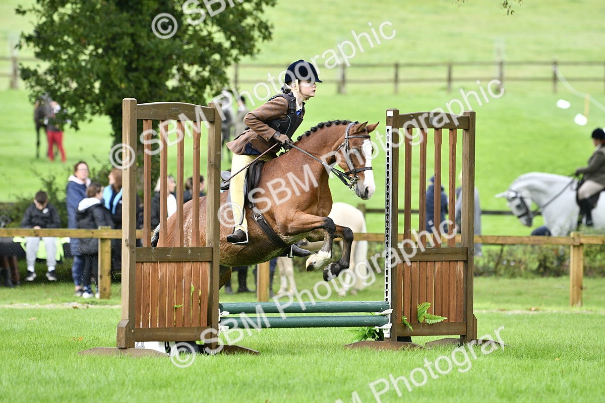 SBM_35439 - S30 - Nursery Stakes Working Hunter Pony
