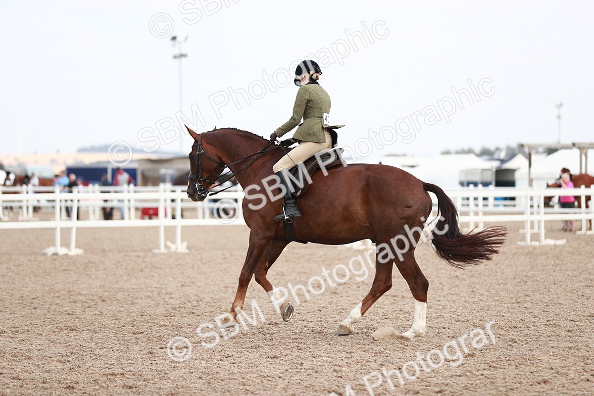 SBM_15543 - Class 213 Ridden Hunter -Large