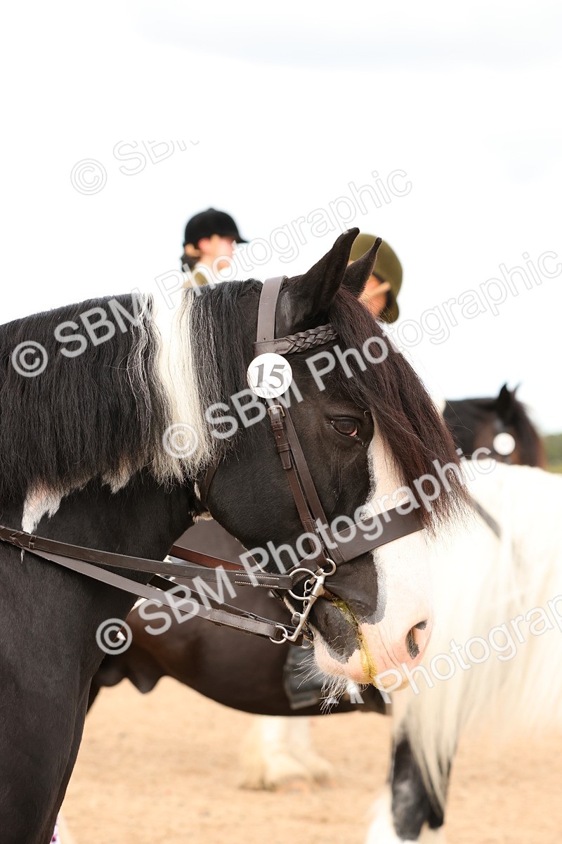 SBM_15684