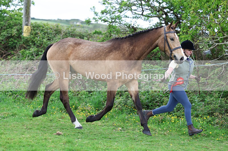 3E7A0834 - In Hand Championship