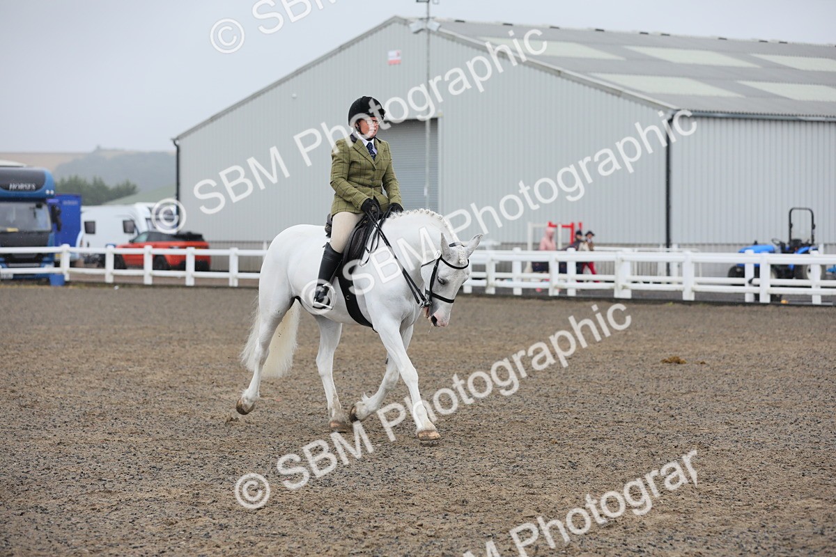 SBM_20319 - Class 803 - Ridden Combination 65+