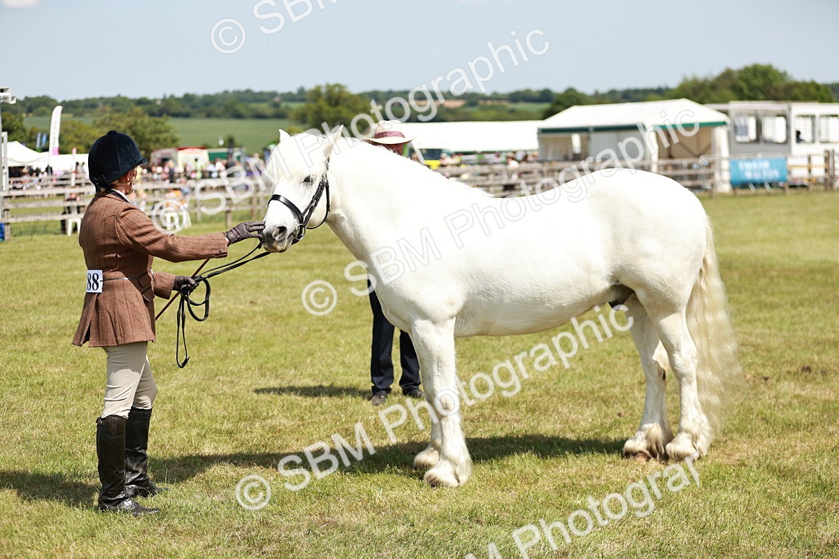 SBM_07144 - Class 26-30 - Mountain and Moorland Ridden