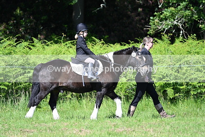 WJ7_0649 - Class 8 First Rally Pony