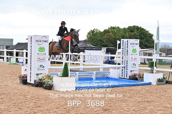 BPP_3688 - QUEEN STAR + GILTON DES ISLOTS