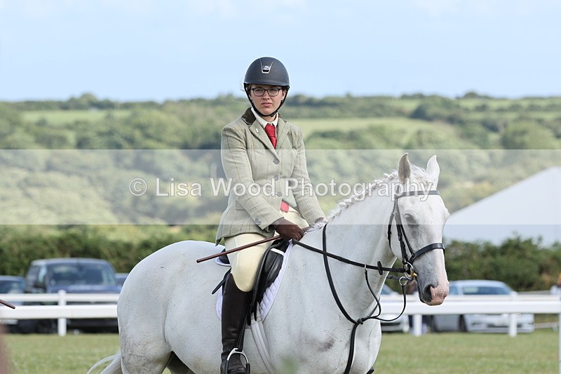 JPP_2400 - Class 19: Working Hunter 60cm