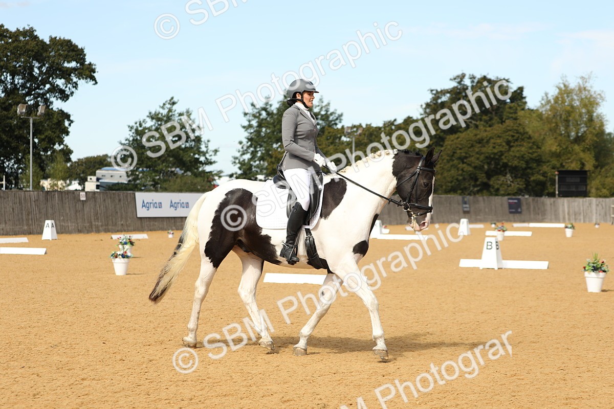 SBM_22224 - D17 - Grand Tour Championship - Novice 27