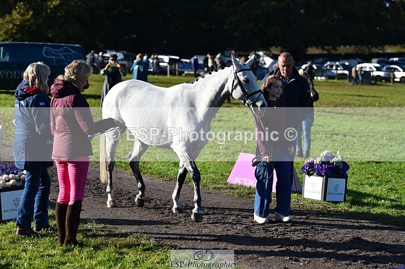 231022-100640-22240 - 453-SOURIS.DE.NESS-Darcy.Smith-TrotUp+SJ