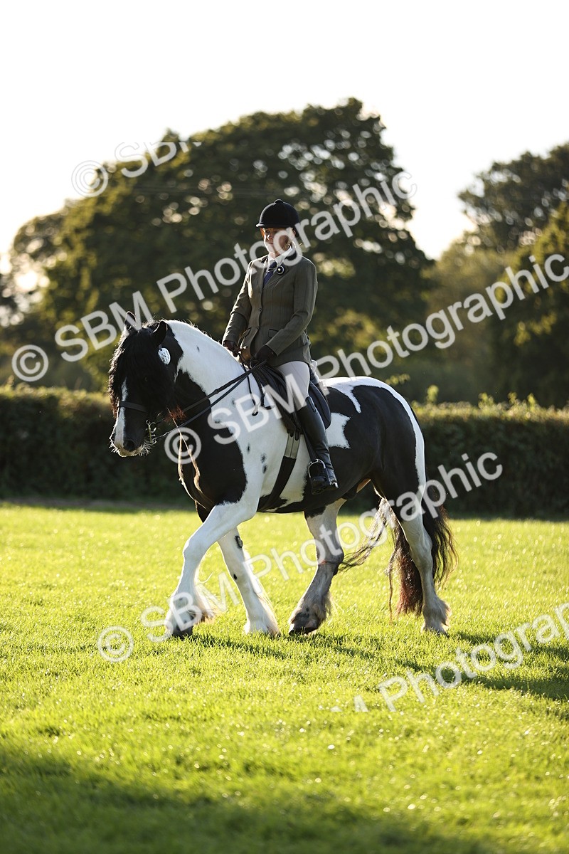 SBM_30114 - Novice & Newcomers Supreme Championship