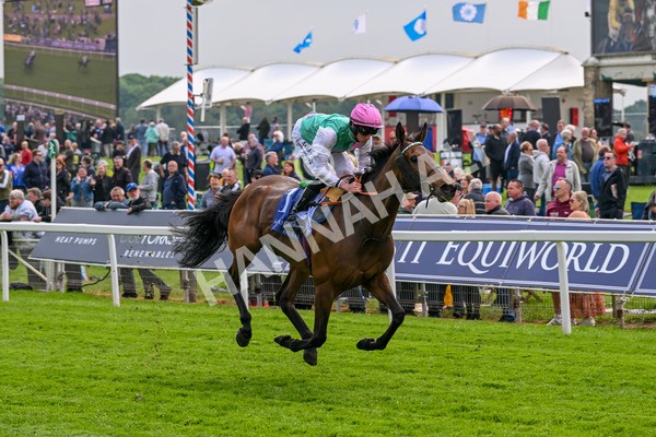 160524-Race 3-Bluestocking-5657 - Race 3 3.15pm  Al Basti Equiworld Dubai Middleton Fillies' Stakes