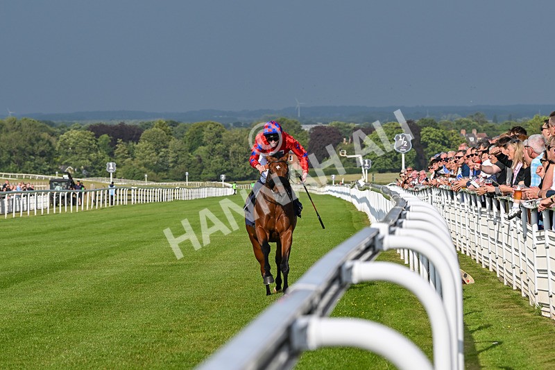 170625-Race 1-Command The Stars-5592 - Race 1