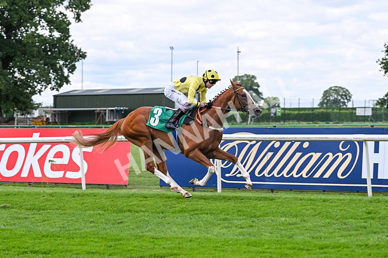 020825-Race 2-Zeus Olympios-2647 - Race 2