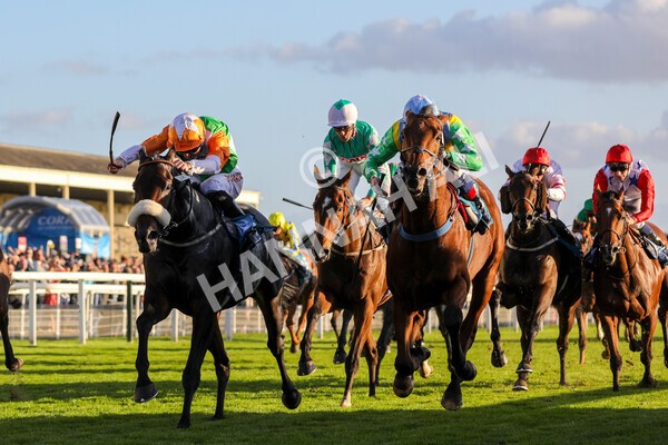 yr08102022r7-31 - Race 7 5.00pm The Coral Gets You Closer To The Action Stakes