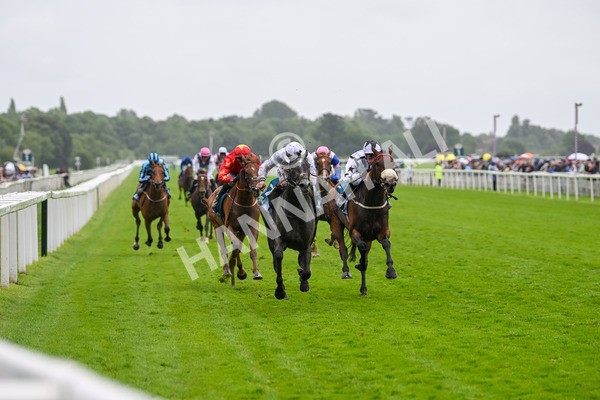 130724-Race 4-Alsakib-7461 - Race 4 3.45pm John Smith's Silver Cup Stakes