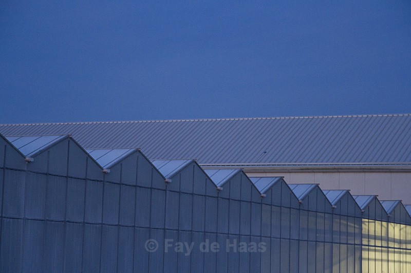  - Home in the Polder