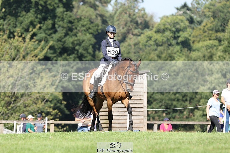 250823A-104941-27797 - Arena D