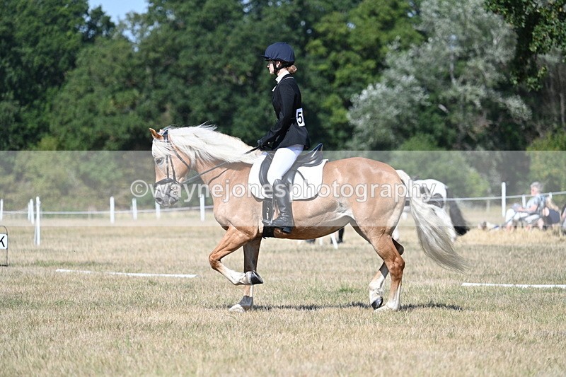 WJ7_0322 - Time 11:33 to 11:44