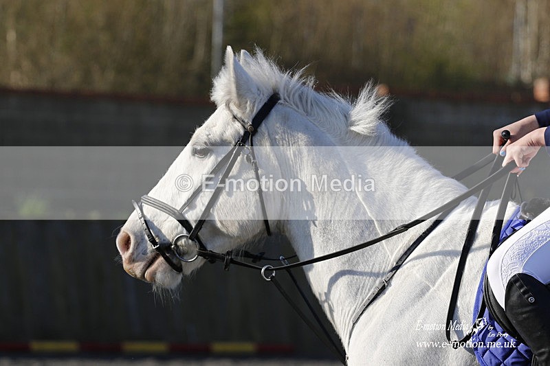 _EST0088 - Bourne Valley Riding Club Winter Showjumping 27/03/22