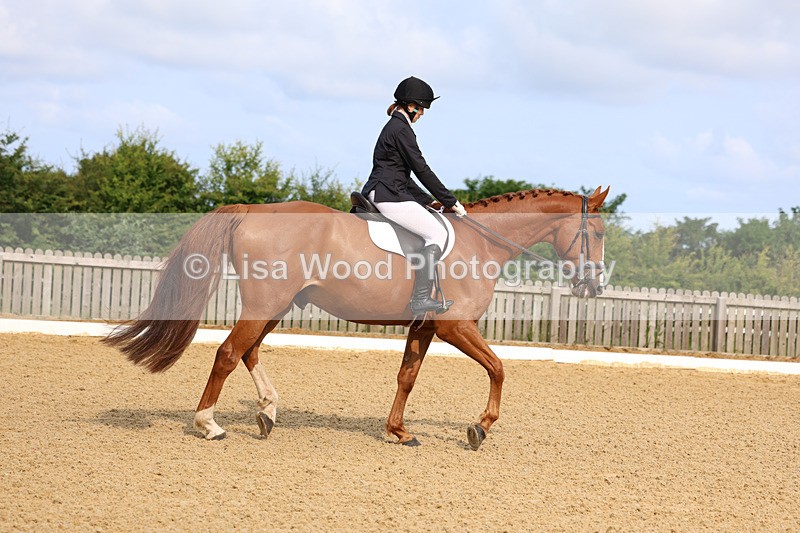 3E7A8565 - Class 1: Intro 1 2024 Section A