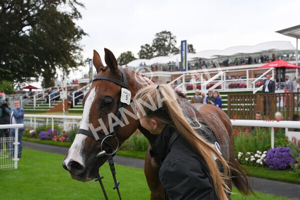 yr24092021r6-49 - Race 6 4.25pm William Hill Pick Your Places Stakes
