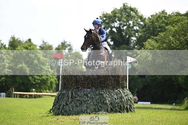 240525-141124-14879 - 162-HAZZLE_DAZZLE-Henry_Hobby