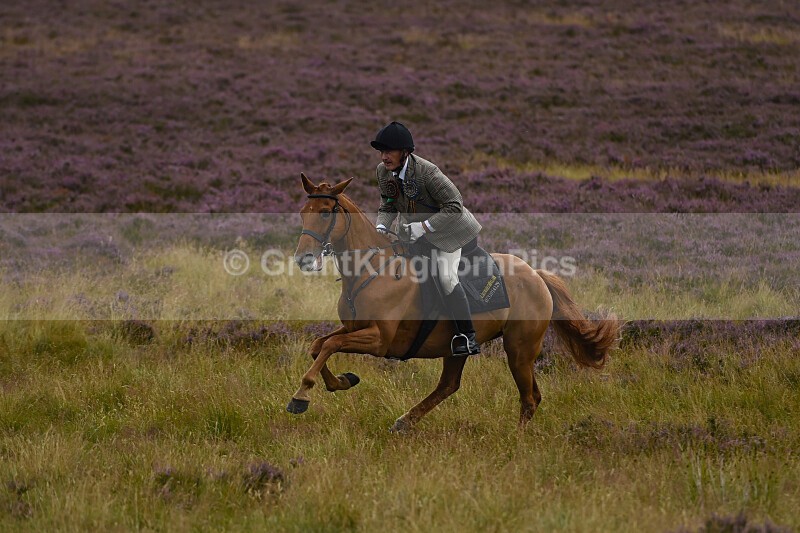 _147 - Lauder Common Riding 2025