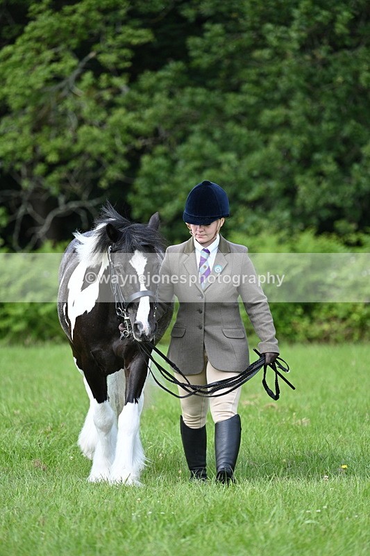 WJ7_1012 - Class 11 Condition & Turnout