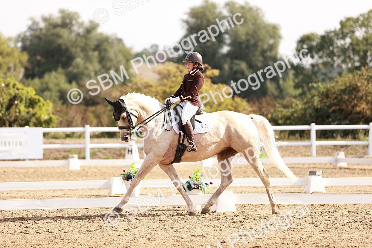 SBM_017011 - Class 10 - Medium 6