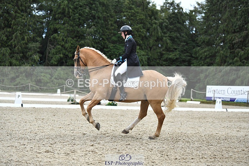 230812-142726-04700 - Cls 7 FEI PSG Bronze