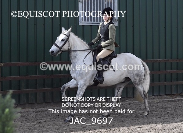 JAC_9697 - CLASS 1 Nursery Novice Working Hunter (0.50m)
