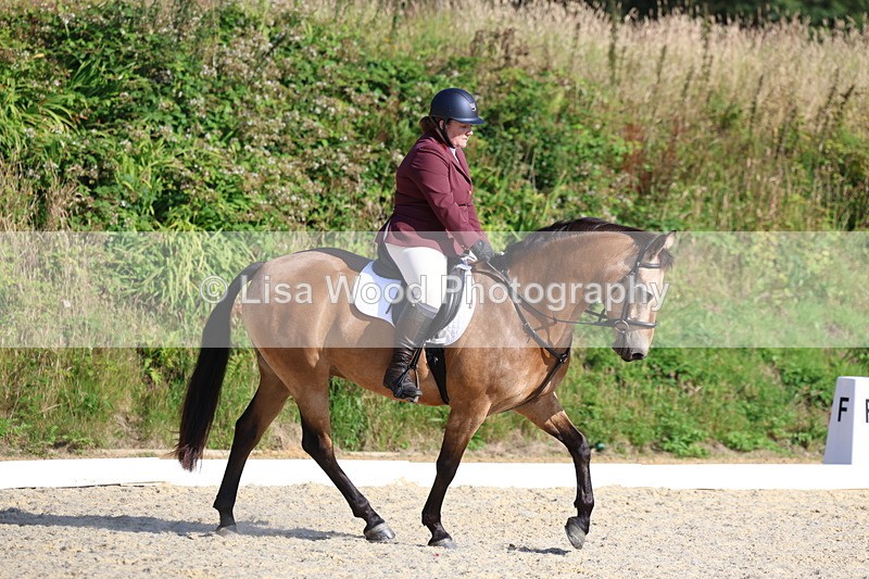 3E7A3403 - Class 2: Intro 1 2024 Section B