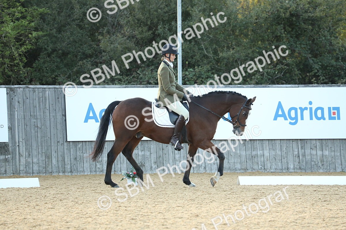 SBM_31128 - D20 - Grand Tour Championship - Elementary 44