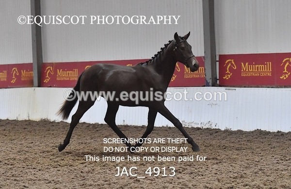 JAC_4913 - 4 River Dance, Take A Chance