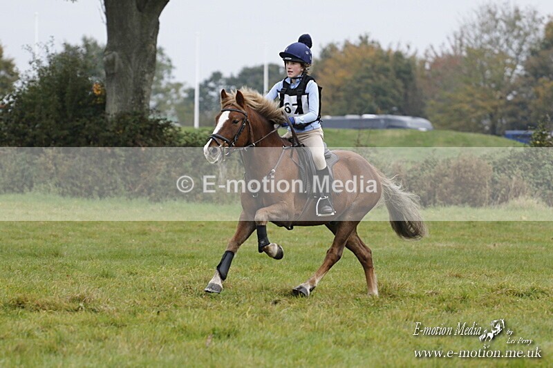 WWHT 181020 WWHT 181020 626 - WWEC Open Novice (0.80m) 18/10/20