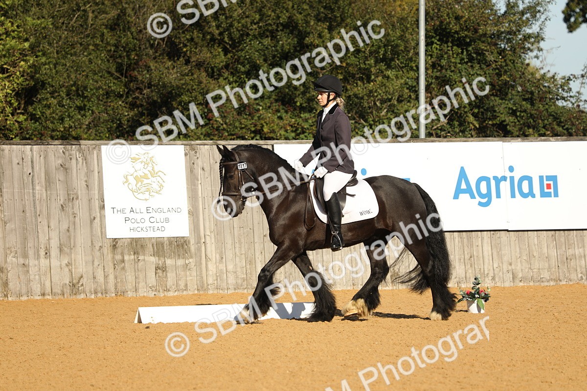 SBM_16414 - D10 - Small Tour Championship - Prelim 2