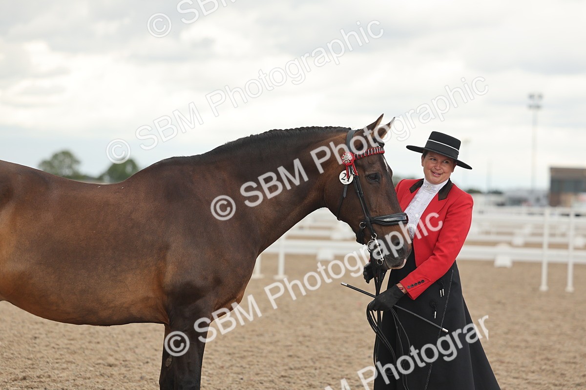 SBM_07644 - Class 26 - IH Foreign Breeds - Part Bred