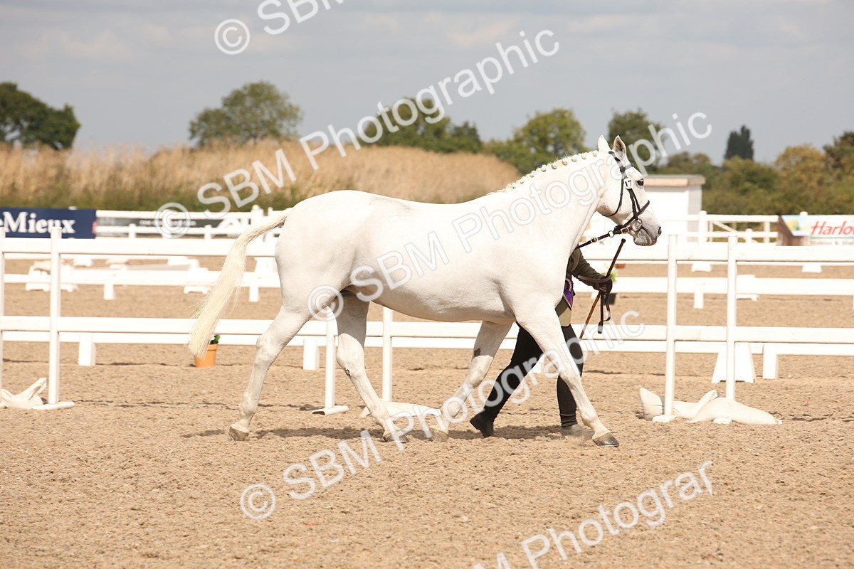 SBM_04670 - Class 20 IH Veteran