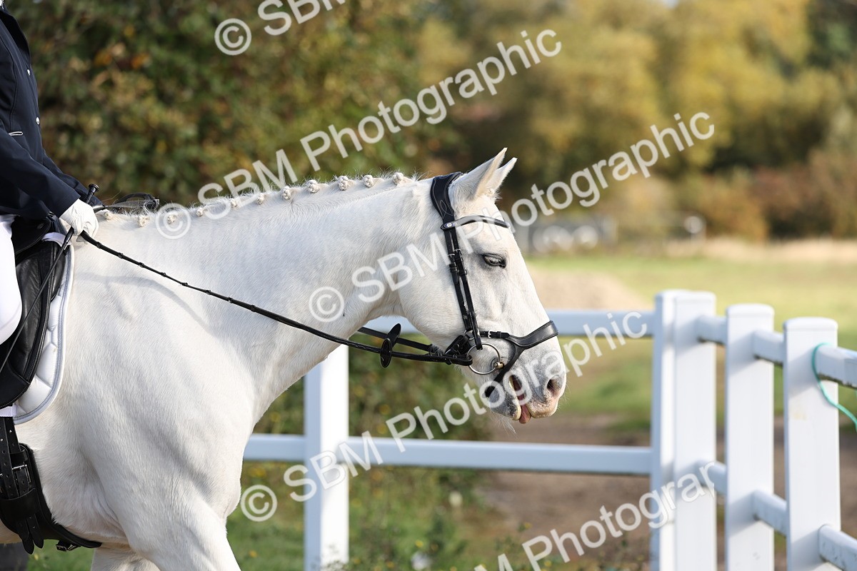 SBM_000497 - Class 1 - Prelim 4