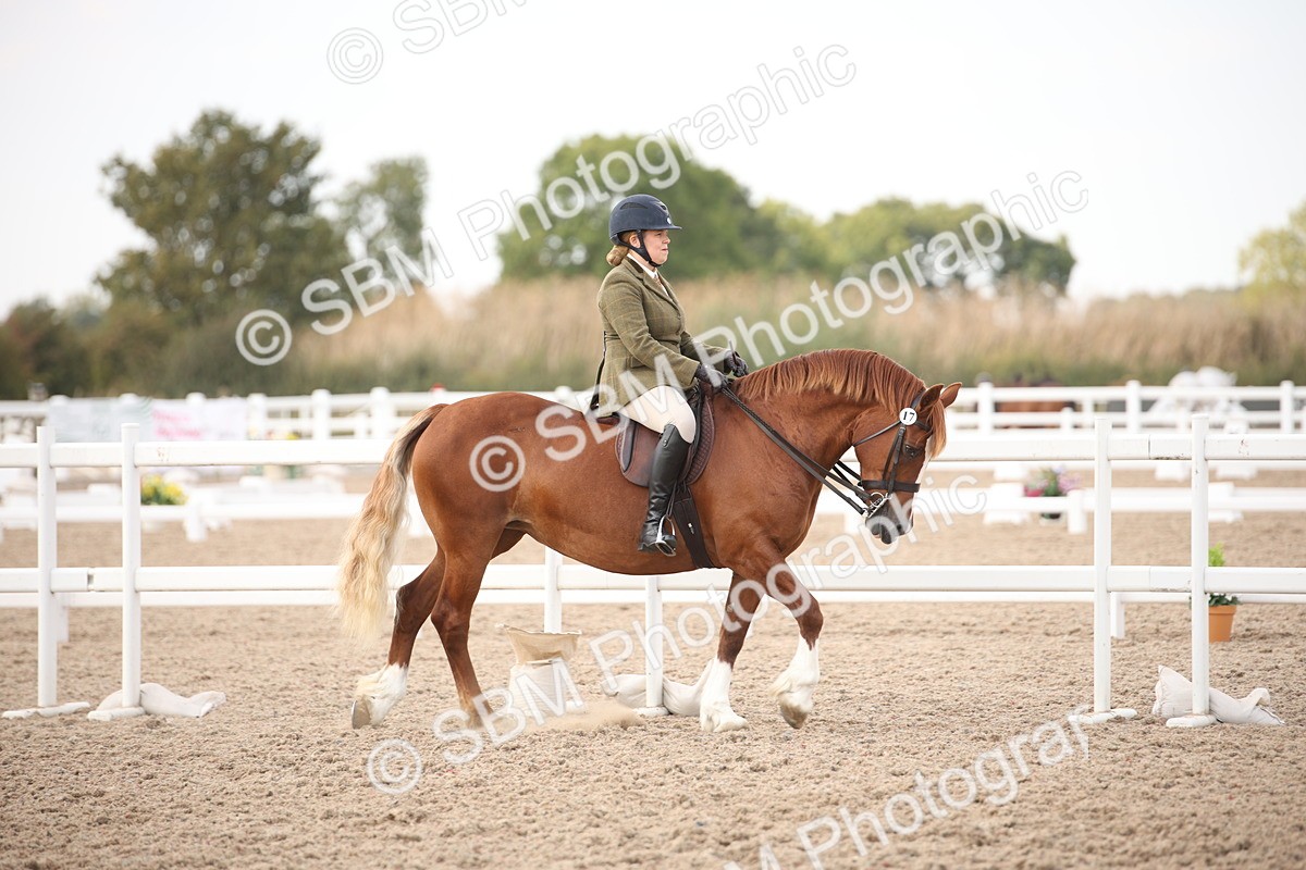 SBM_08745 - Class 12R Regional Ridden Pre-Vet
