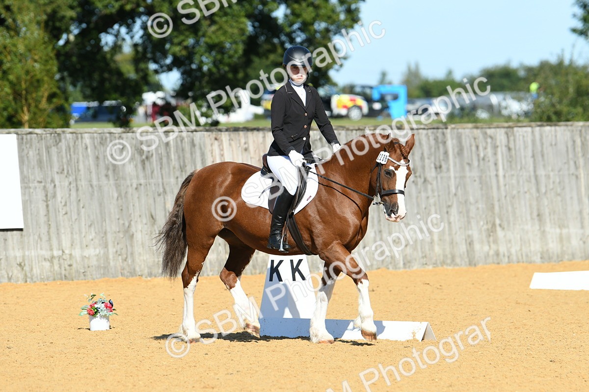 SBM_18018 - D4 - Small Tour Championship - Intro B