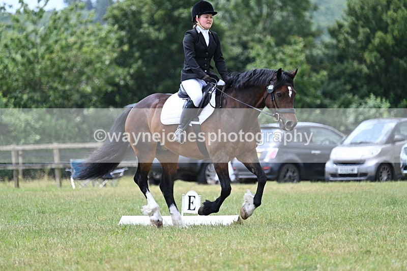 WJ7_5679 - Time 11:52 to 12:10